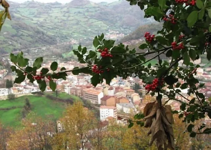 Ruta De La Plata De Asturias 3*